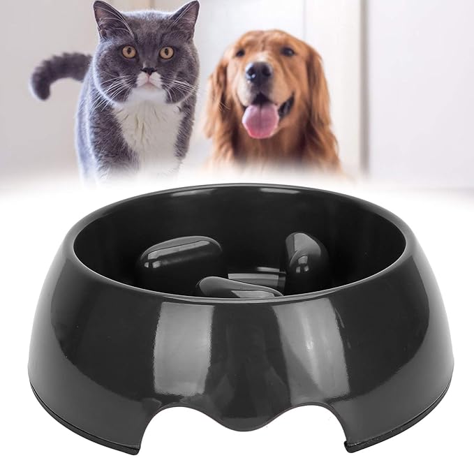 Dog Food Bowl Fast Eaters at James Heberling blog