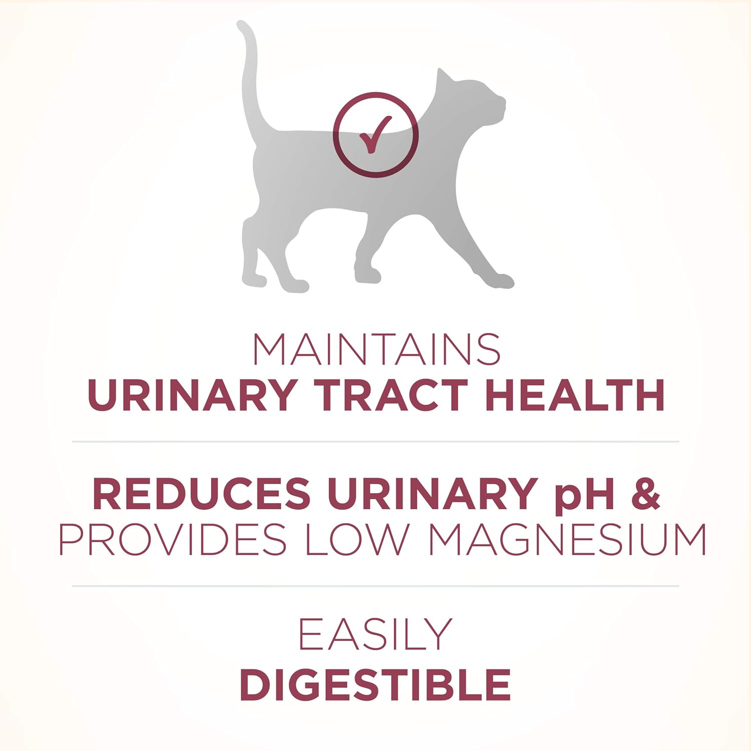 Purina ONE High Protein Dry Cat Food, Urinary Tract Health Formula - 16 lb. Bag : Dry Pet Food : Pet Supplies