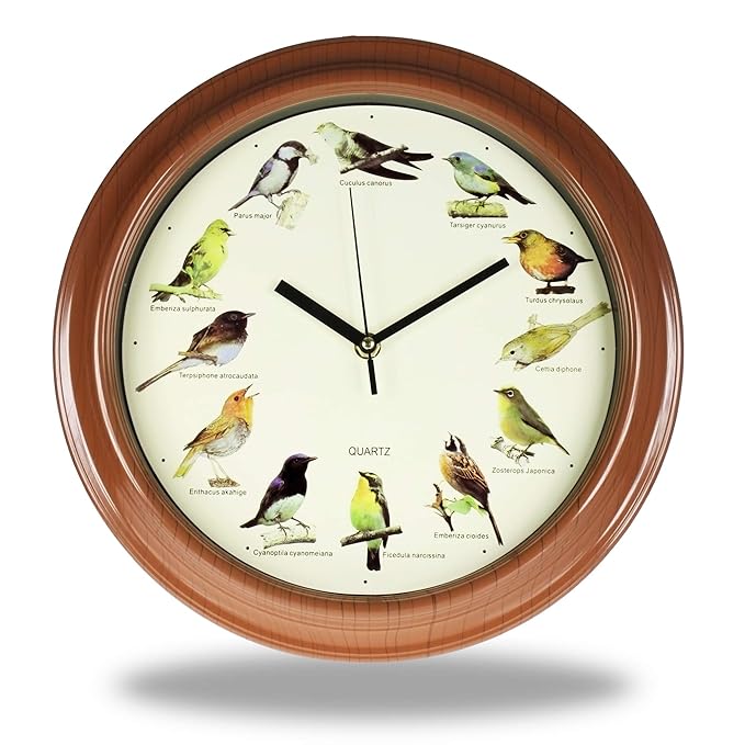 Monsterzeug Vogeluhr, Wanduhr mit Vogelstimmen, Uhr mit Vogelgeräuschen, Singing Birds Clock, 30 cm Durchmesser
