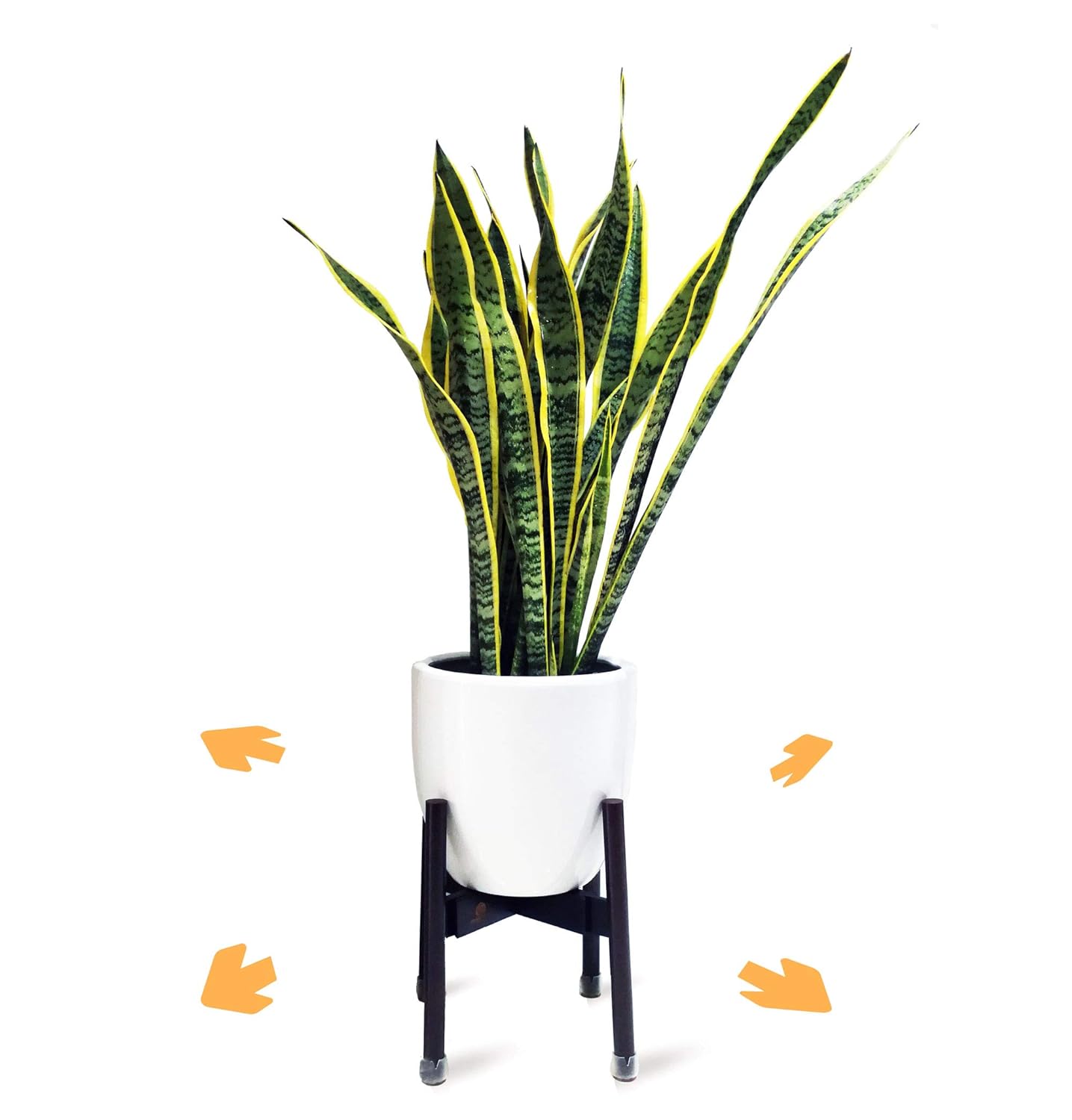 Best divano couch roma furniture