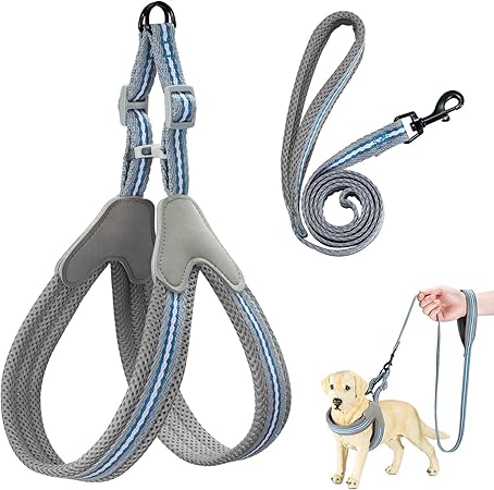 easy leash harness