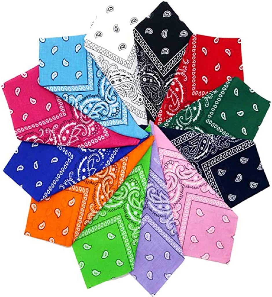 10 Face Mask Paisley Bandana | Washable Reusable Cotton Fabric Scarf | DIY Mask with Hair Ties | Multi Assorted Colors with 20 Ties