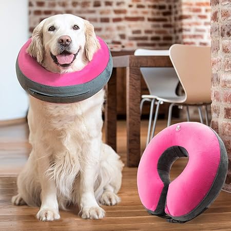 Donut collar for dogs after surgery Clearance