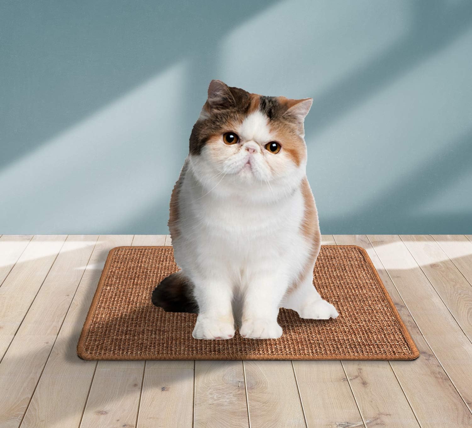 LSAIFATER Cat Scratching Mat, Natural Sisal Mat, Protect Carpets and Sofas (11.8x14.9 inch, Brown) : Pet Supplies