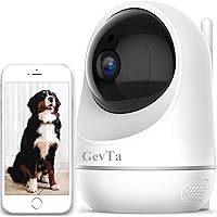 best video camera for dogs