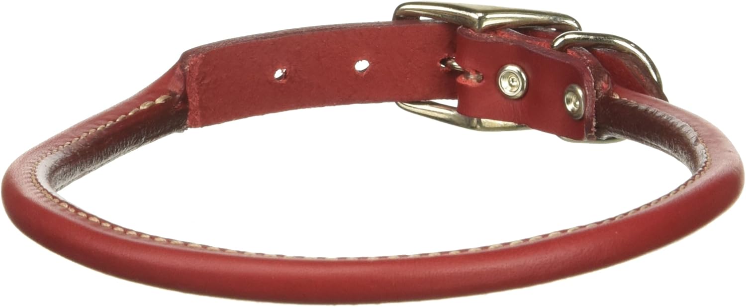 circle t rolled leather dog collar