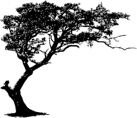 Amazon Com 8ft Tall Tree Shade Wall Decal Black Color 96in Tall X 113in Wide Bedroom Living Room Home Decor 312 Arts Crafts Sewing