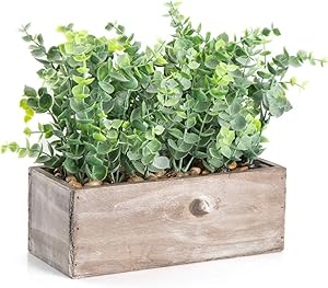 Velener Mini Potted Artificial Eucalyptus Plant for Home Decor (Wooden Tray)