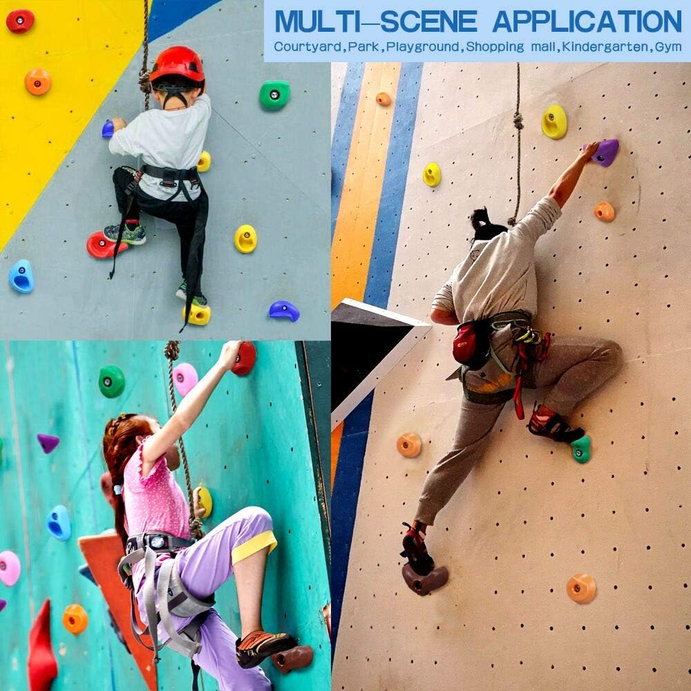 Newtion 25 Multi-Size Rock Climbing Holds for Kids and Adult,DIY Rock Climbing Holds Set with 25 Bolts,T-Nuts,Washers and 8 Foot Knotted Rope-Kids Indoor and Outdoor Play Set Use: Toys & Games