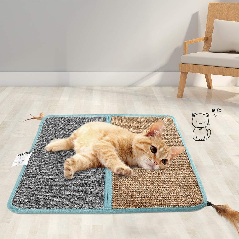 Best  carpet for cats with claws