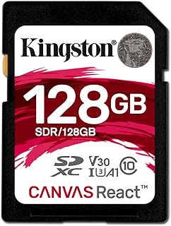 Kingston Canvas React SD