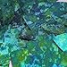Sequin Fishscale Fin 24 x 40mm Van Gogh Starry Night Blue Green Swirl Texture Couture Paillettes. Made in USA. Loose Sequins for Embroidery, Bridal, Applique, Arts, Crafts, and Embellishment.