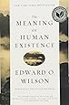 The Meaning of Human Existence