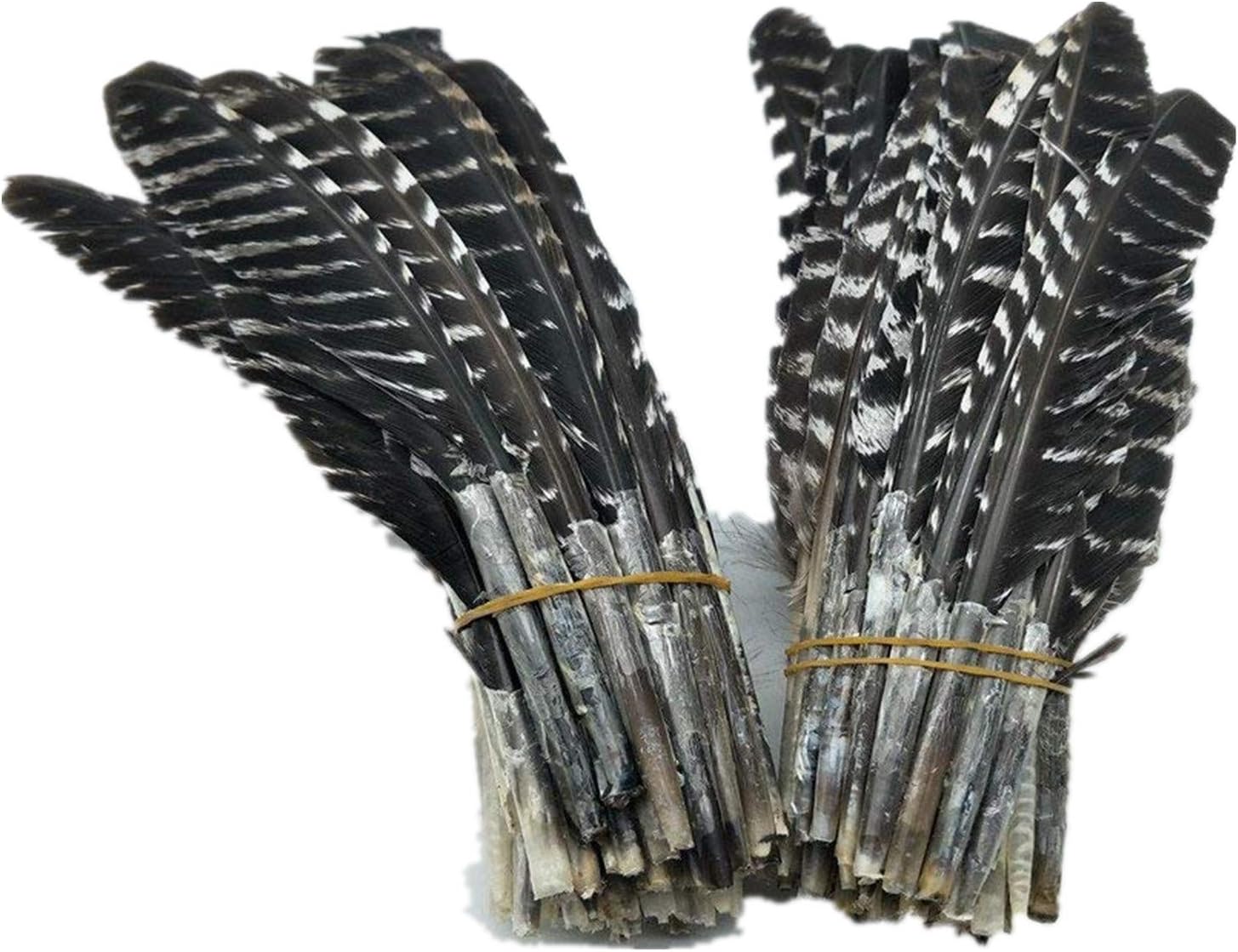 WAKEACETurkey Wing Feathers 10 Pieces 7-9 Inch / 17-23CM Natural Color Offer Wholesale Beautiful DIY Decoration Collection Purification Energy Feathers