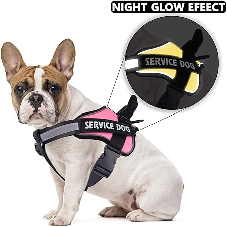 amazon service dog vest small