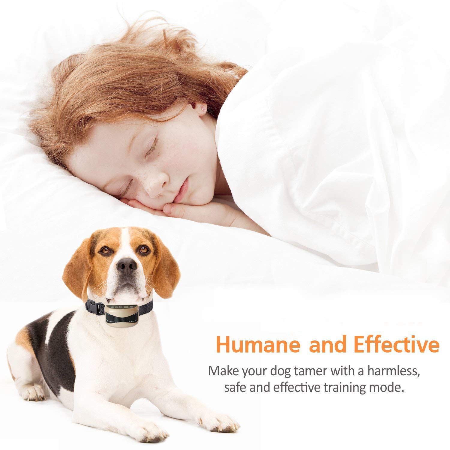 regirock bark collar