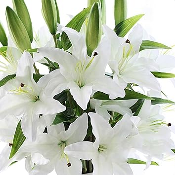 Da Wa 5 X Fleurs Artificielles Faux Plastique Fleurs De Lys Pour Bouquet De Mariage Maison Jardin Bureau Fête Décoration De Mariage Blanc