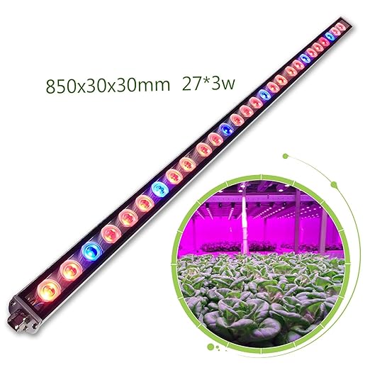 title=Roleadro 81w Led Grow Light Impermeabile IP65 85CM Lampada Indoor Rosso e Blu