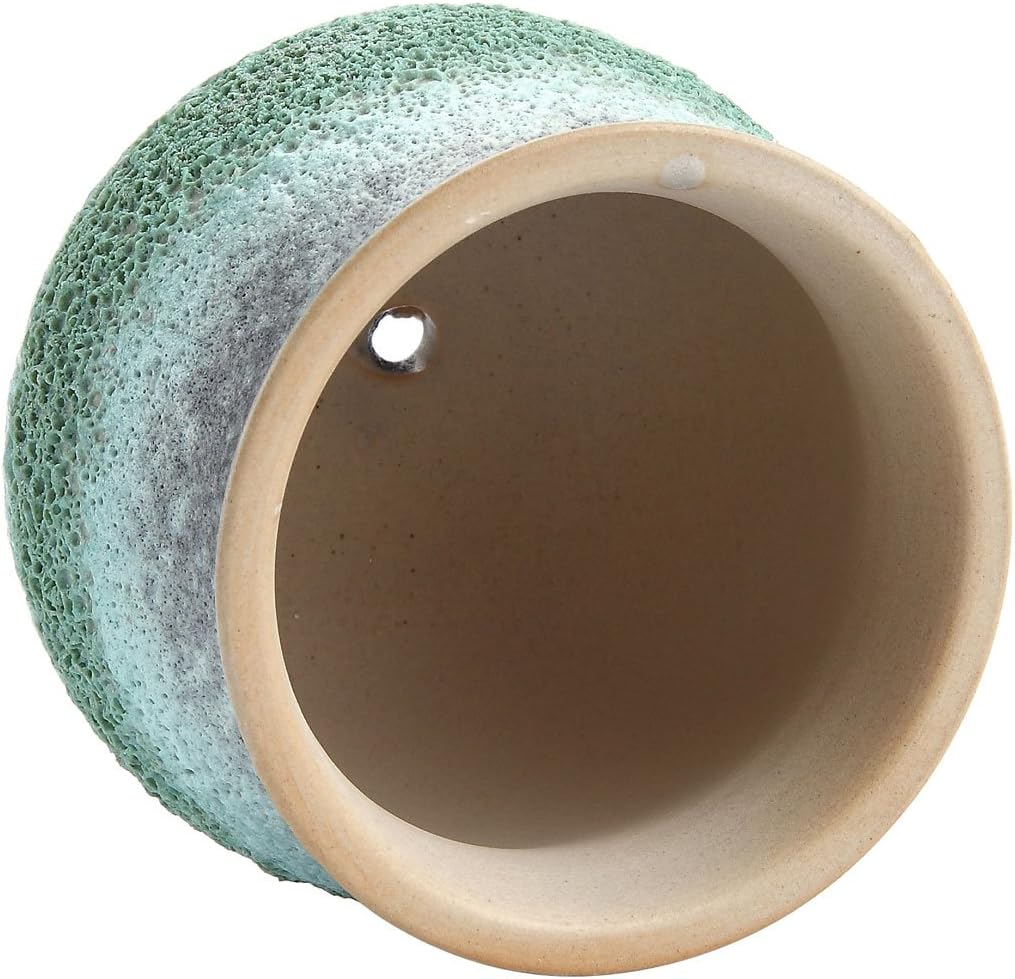 Jardinería T4U Planta Maceta de Suculento con Bandeja de bambú