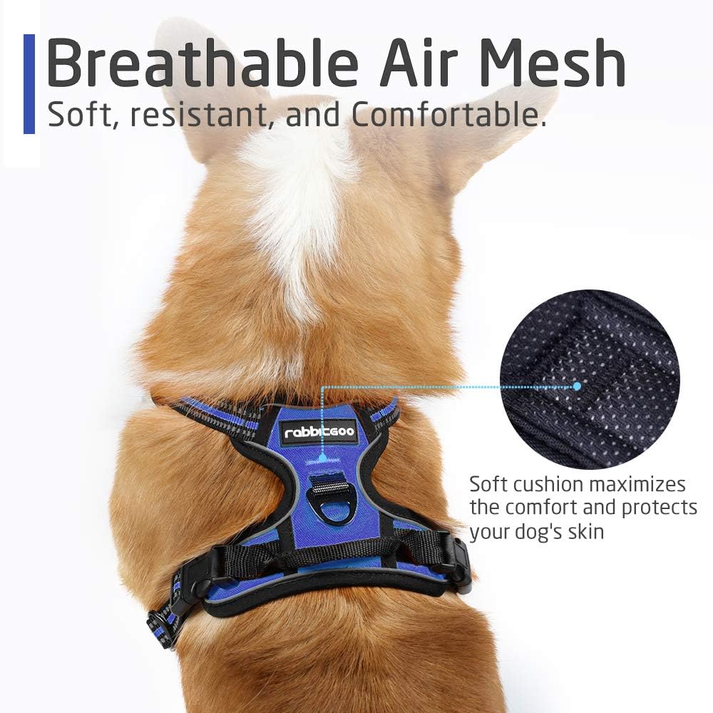 rabbitgoo Dog Harness Medium No Pull Pet Harness with 2 Leash Clips, Adjustable Soft Padded Pet Vest Harness - Image 4