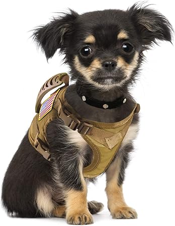 tactical dog vest