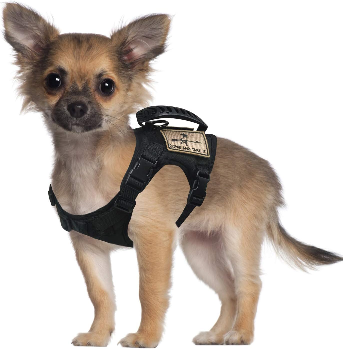 tactical training for dogs