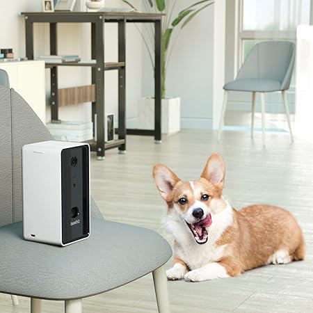 dog monitor with treat dispenser