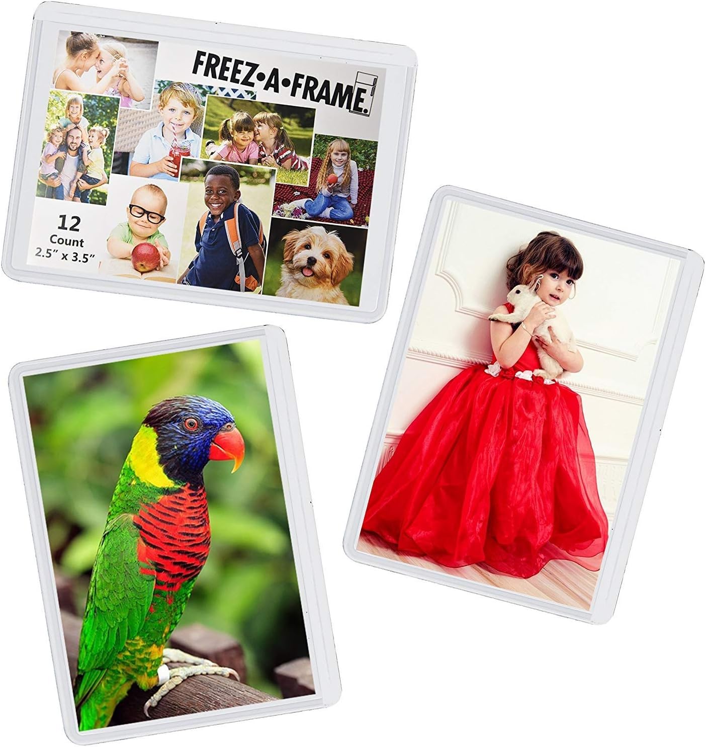 12 Pack Magnetic Wallet Picture Frames Holds 2 1/2" X 3 1/2" Pocket Photo for Refrigerator by Freez-A-Frame Made in the USA