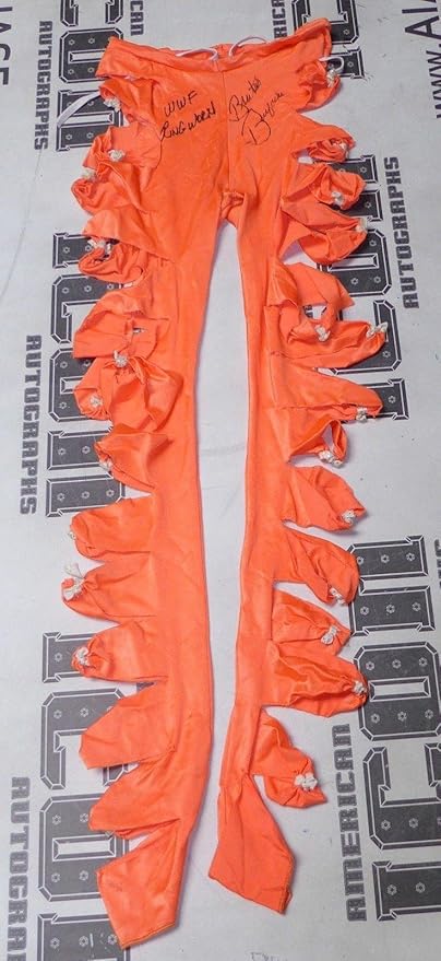 1980's wwf wrestling ring