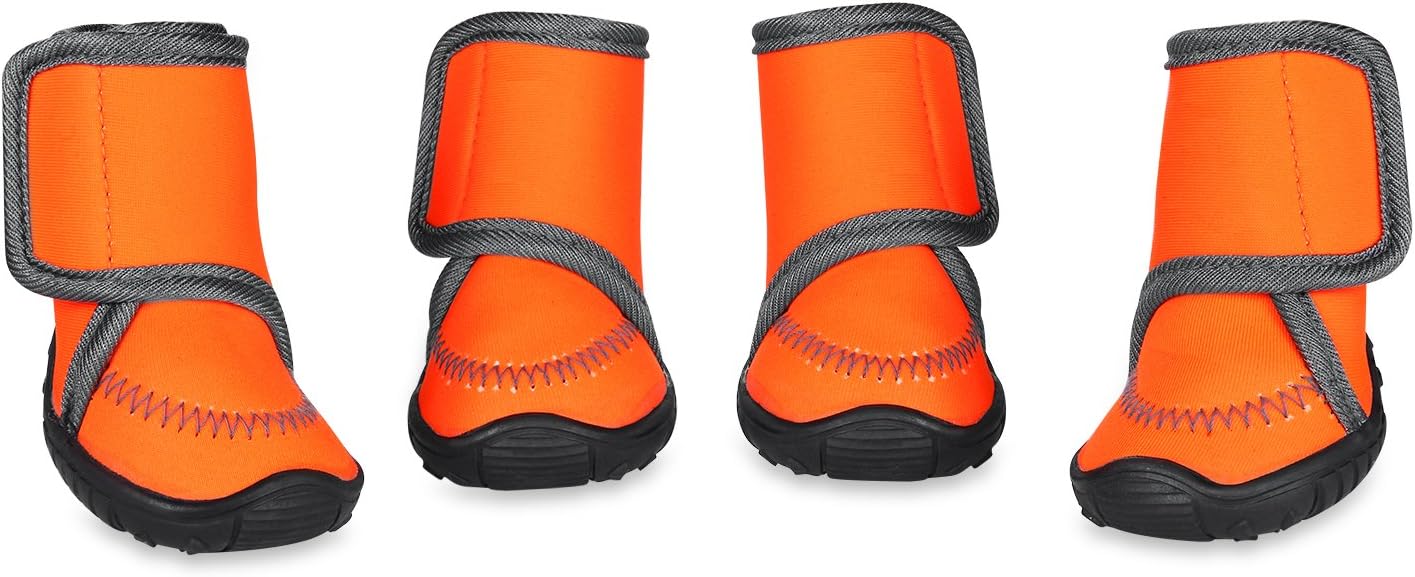 low maintenance apartment dogs