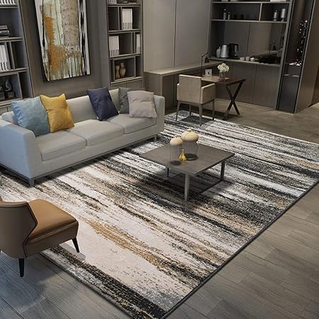 Fashion Interior Carpet Living Room Rugs, Thick Soft, Sound-Absorbing