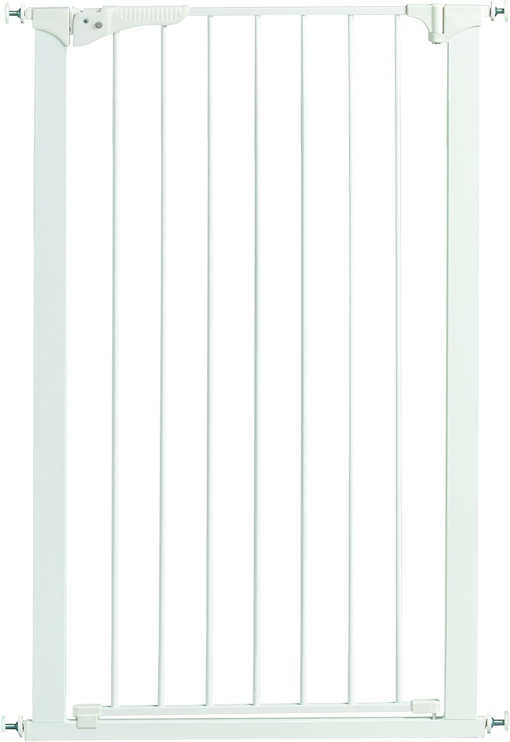 empire state k9 training