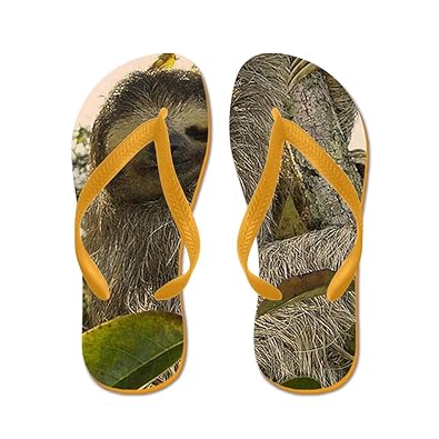 sloth flip flops