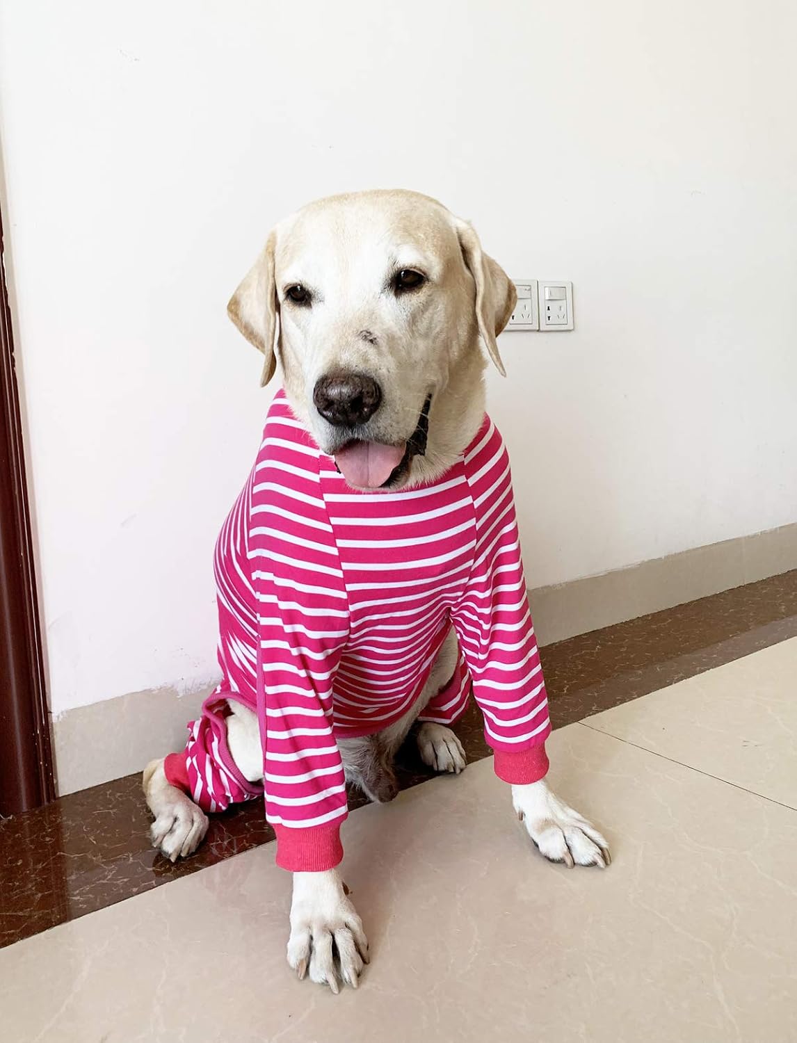 BT Bear Large Dog Clothes - Image 5