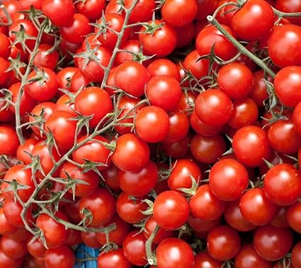 National Gardens Large Cherry Tomato Seeds (Pack of 30)