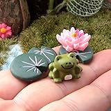 Cooltop Miniature Frog Set Fairy Garden Dollhouse Miniature Plant Pots Bonsai Craft Micro Landscape DIY Decor Set