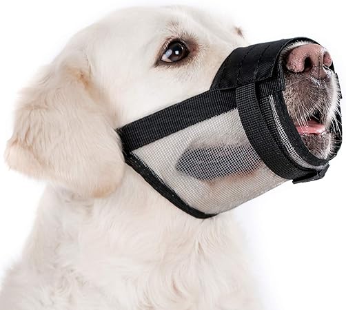 dog muzzle collar