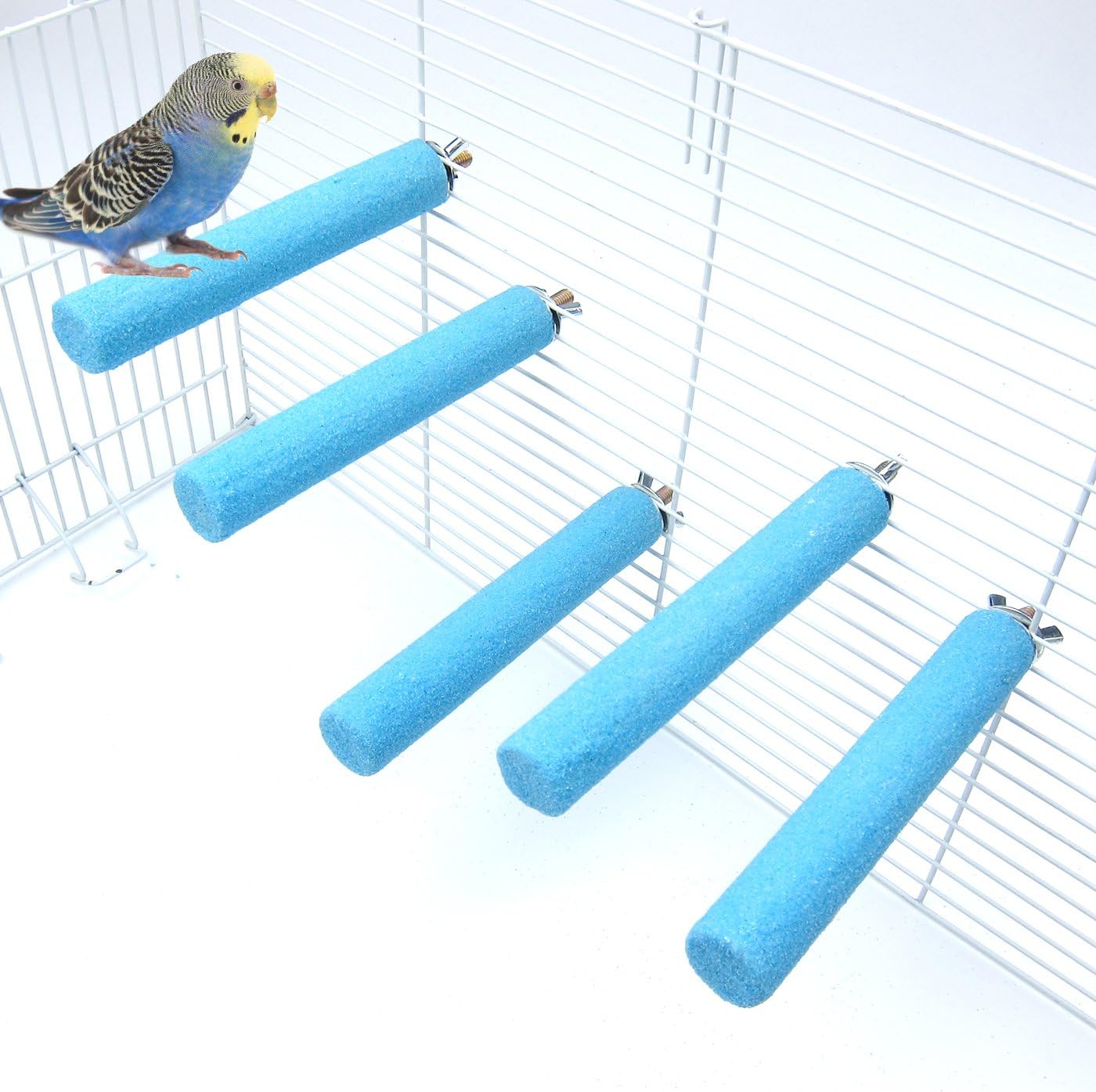 Which Is The Best Cement Bird Ladder