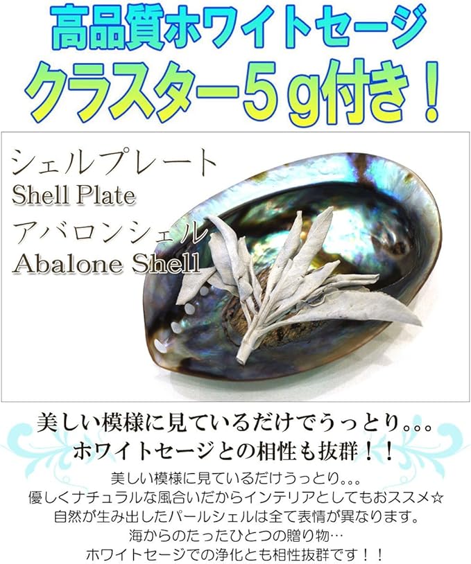 Amazon シェルプレート アバロンシェル 浄化用のお皿 セージ付 Giyaman Jewellery インテリア