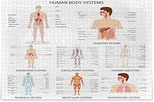 Oarencol Different Human Body Organ System Educational Jigsaw Puzzle 500 Pieces Puzzles For Adults Kids Toys Games Amazon Com