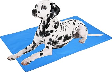 Cadosoigh Hond Koelmat 90x50cm Duurzaam Huisdier Koele Mat Niet Toxische Gel Zelf Koelpad Geweldig Voor Honden Katten In Hete Zomer Hemelsblauw 90 50cm Amazon Nl
