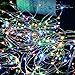 AICase Dimmable LED String Lights with Remote Control, 33 Ft 100 LEDs Waterproof String Lights Party Wedding Christmas Lights for Indoor/Outdoor Home Garden Decorations (1, Multi)