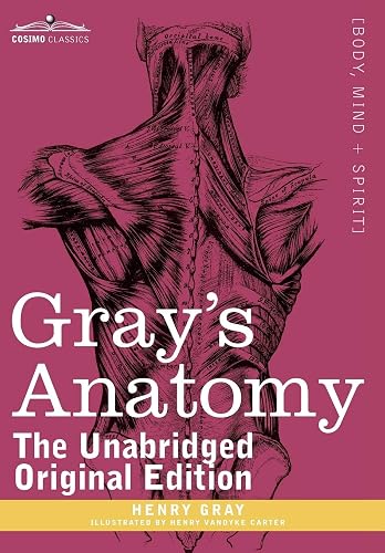 Download Gray's Anatomy: Descriptive and Surgical PDF