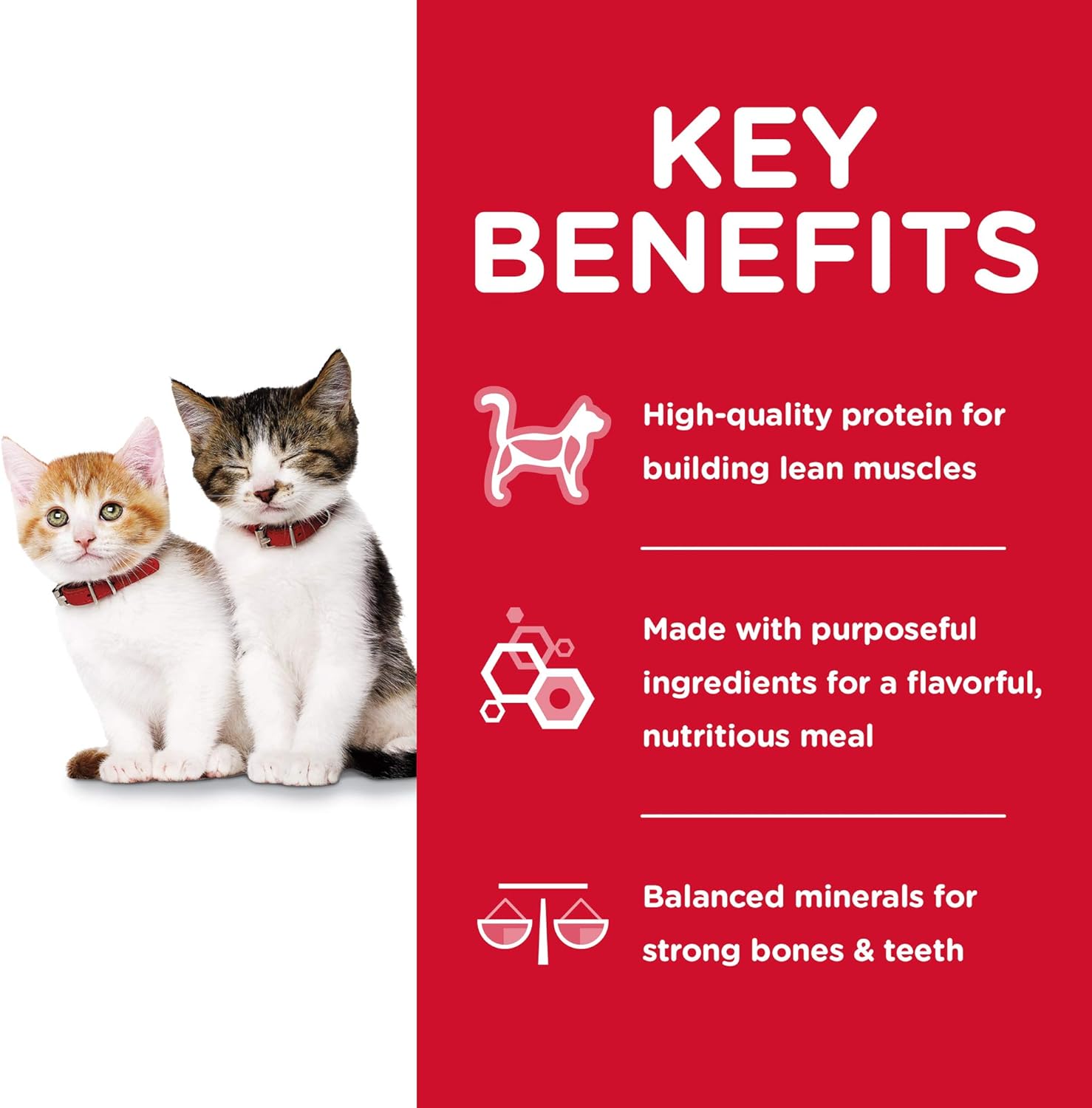 hills kitten wet food