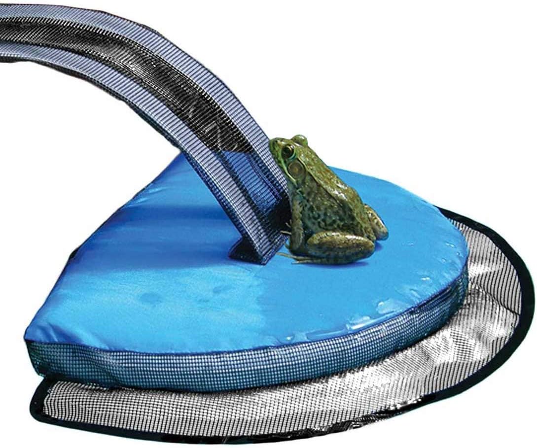 Amazon Com Swimming Pool Animal Escape Ramp Safety Lizard