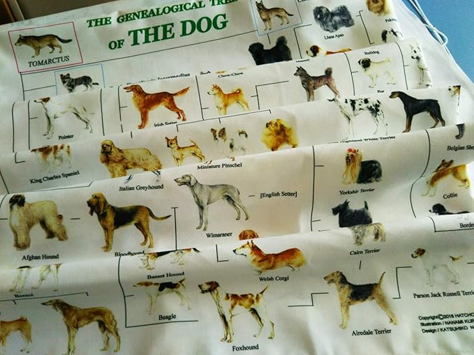 Amazon Co Jp 犬の系統図 The Genealogical Tree Of The Dog Home Kitchen Amazon Co Jp 犬の系統図 The Genealogical Tree Of The Dog Home Kitchen