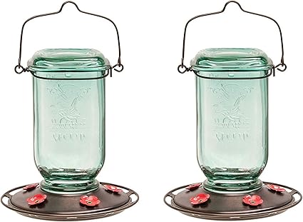 Amazon Com More Birds Hummingbird Feeder Glass Hummingbird