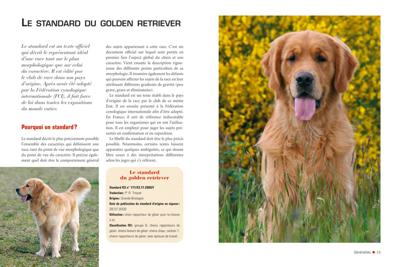 Le Golden Retriever 9782816000146 Amazoncom Books