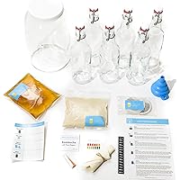 Joshua Tree Kombucha Deluxe Starter Kit - Contains Live SCOBY and Starter Tea, 1 Gallon Glass Fermentation Jar, Temp…