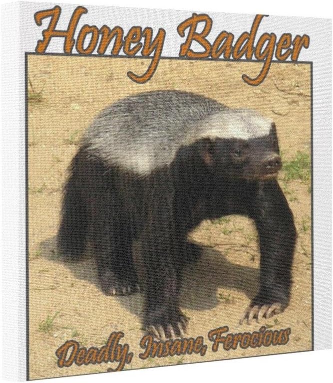 Yolana Deadly Insane Ferocious Honey Badger Gallery Wrapped Canvas Nature Canvas Wall Art